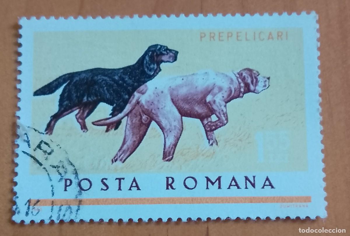 Sellos: RUMANIA - 1,55 LEI - A&Ntilde;O 1965 - FAUNA, PERROS DE CAZA - VER DESCRIPCI&Oacute;N.