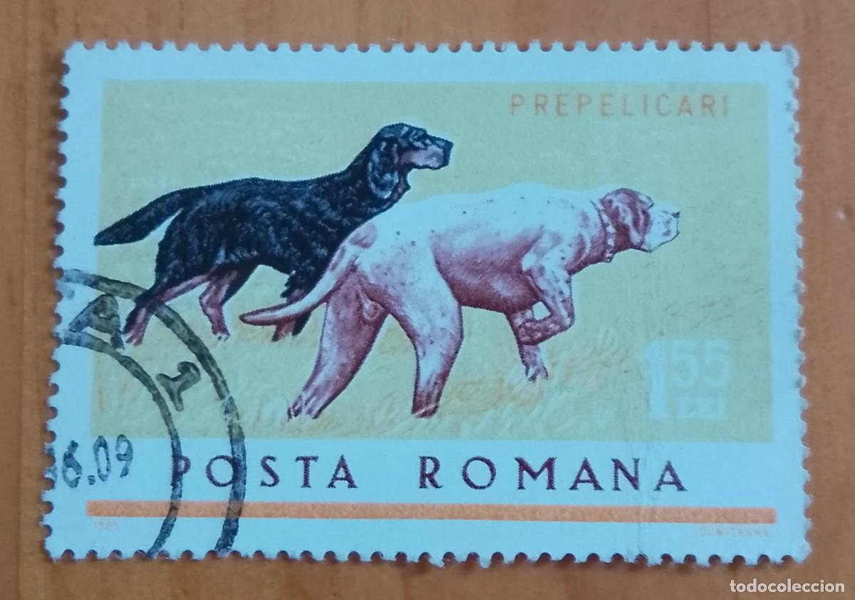 Sellos: RUMANIA - 1,55 LEI - A&Ntilde;O 1965 - FAUNA, PERROS DE CAZA - VER DESCRIPCI&Oacute;N.