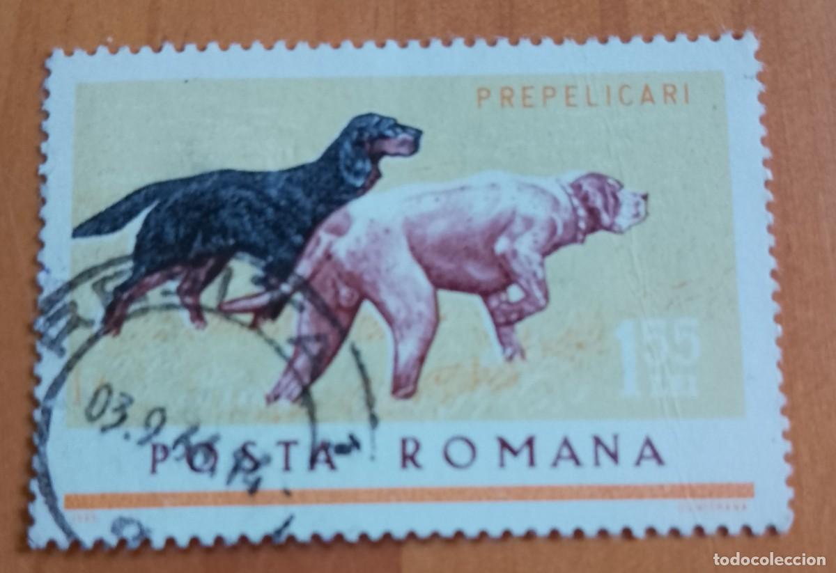 Sellos: RUMANIA - 1,55 LEI - A&Ntilde;O 1965 - FAUNA, PERROS DE CAZA - VER DESCRIPCI&Oacute;N.