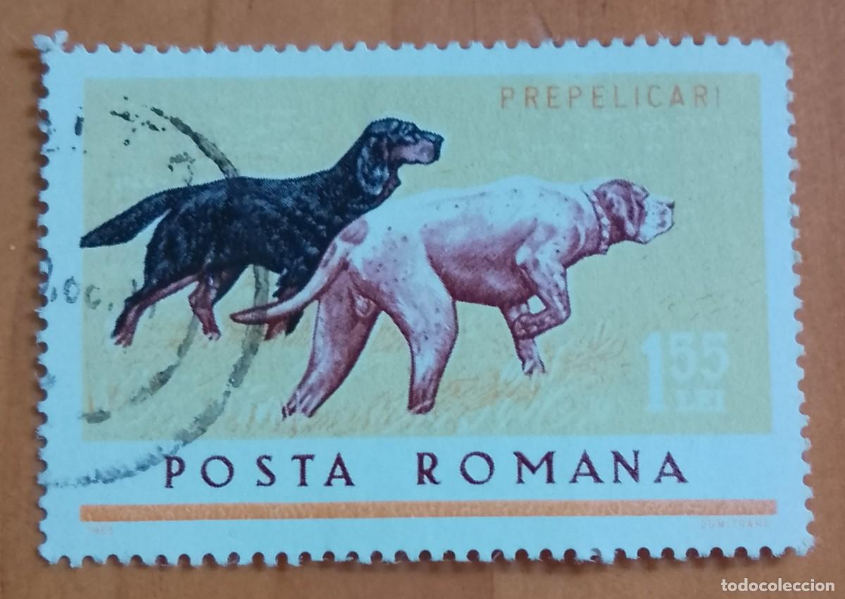 Sellos: RUMANIA - 1,55 LEI - A&Ntilde;O 1965 - FAUNA, PERROS DE CAZA - VER DESCRIPCI&Oacute;N.