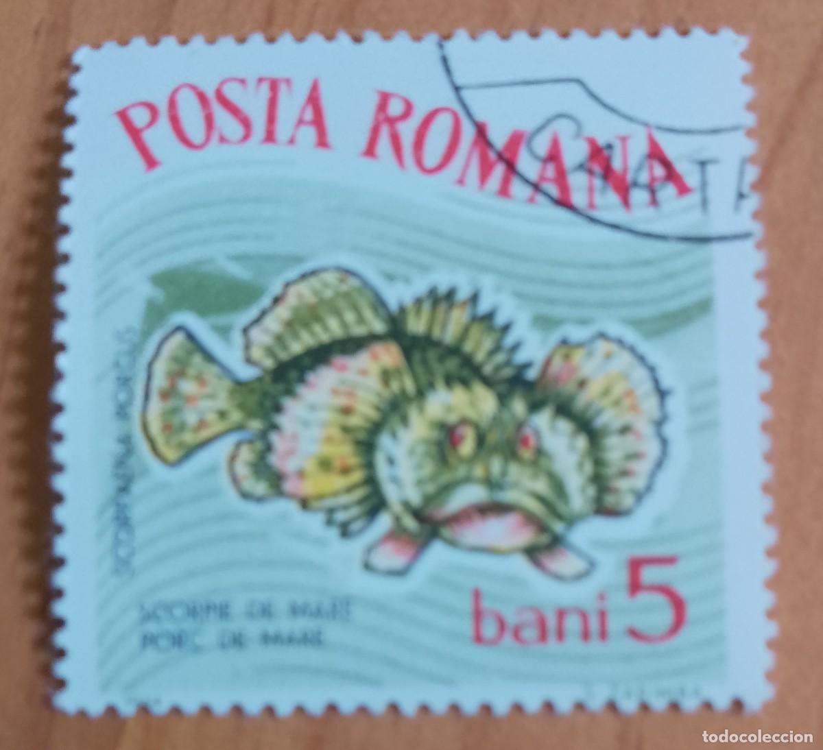 Sellos: RUMANIA - 5 BANI - A&Ntilde;O 1964 - ESCORPI&Ograve;N MARINO - VER DESCRIPCI&Oacute;N.
