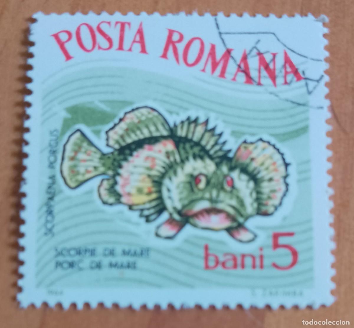 Sellos: RUMANIA - 5 BANI - A&Ntilde;O 1964 - ESCORPI&Ograve;N MARINO - VER DESCRIPCI&Oacute;N.