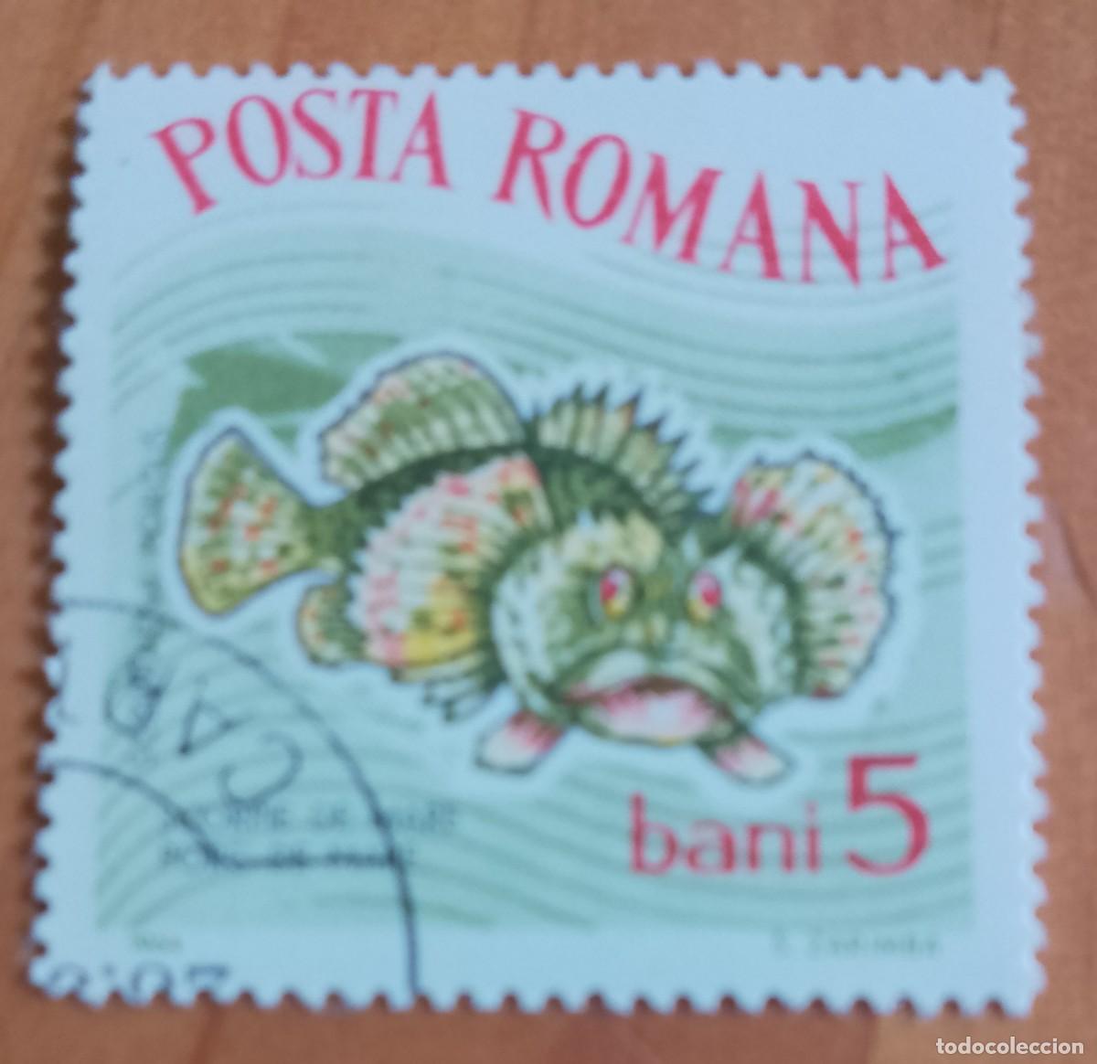 Sellos: RUMANIA - 5 BANI - A&Ntilde;O 1964 - ESCORPI&Ograve;N MARINO - VER DESCRIPCI&Oacute;N.