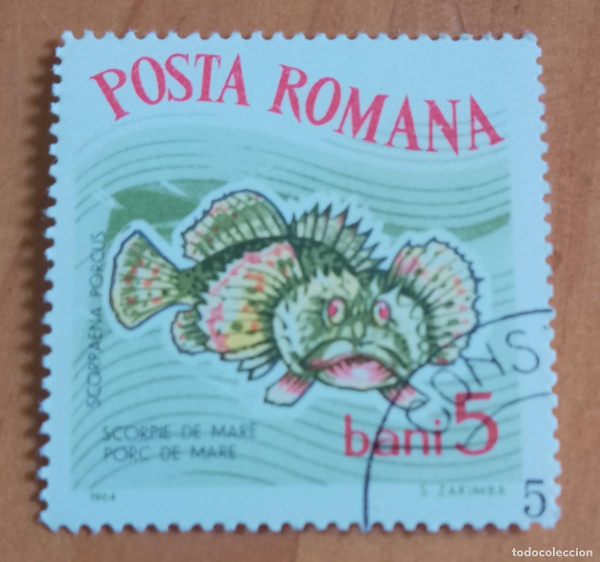 Sellos: RUMANIA - 5 BANI - A&Ntilde;O 1964 - ESCORPI&Ograve;N MARINO - VER DESCRIPCI&Oacute;N.