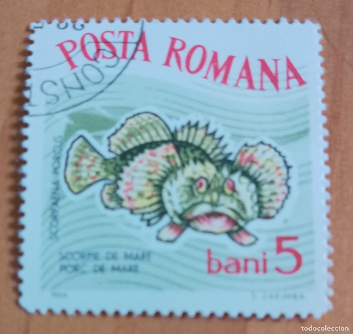 Sellos: RUMANIA - 5 BANI - A&Ntilde;O 1964 - ESCORPI&Ograve;N MARINO - VER DESCRIPCI&Oacute;N.