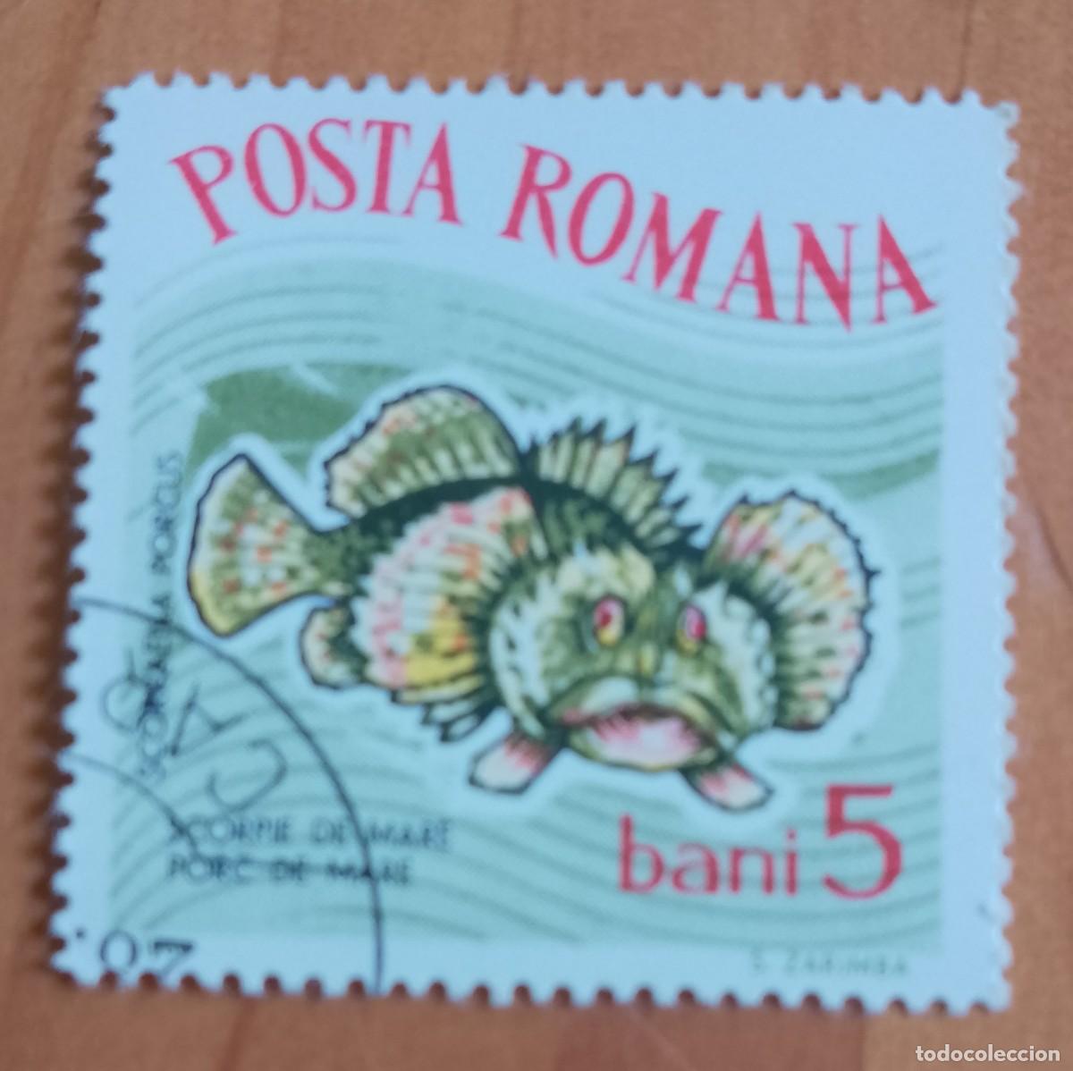 Sellos: RUMANIA - 5 BANI - A&Ntilde;O 1964 - ESCORPI&Ograve;N MARINO - VER DESCRIPCI&Oacute;N.