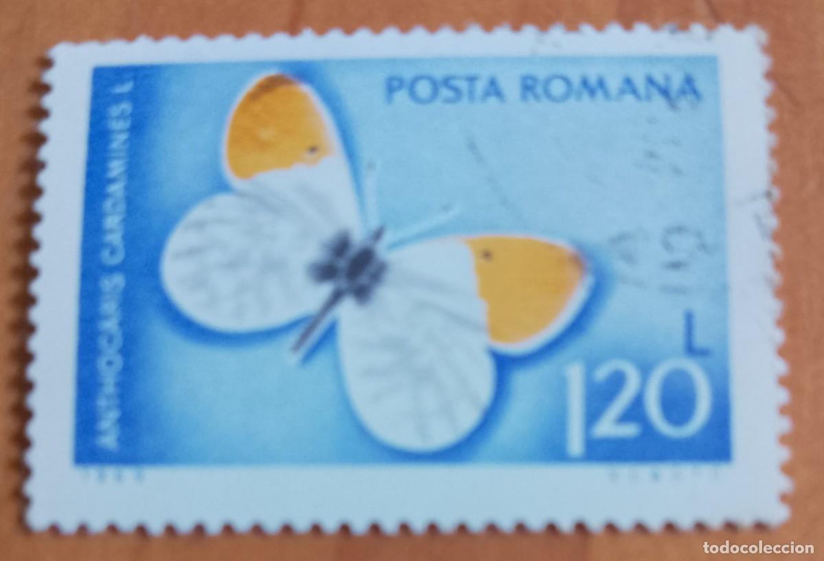 Sellos: RUMANIA - 1,20 L - A&Ntilde;O 1969 - FAUNA, MARIPOSA AUORA, ANTHOCARIS CARDAMINES - VER DESCRIPCI&Oacute;N.