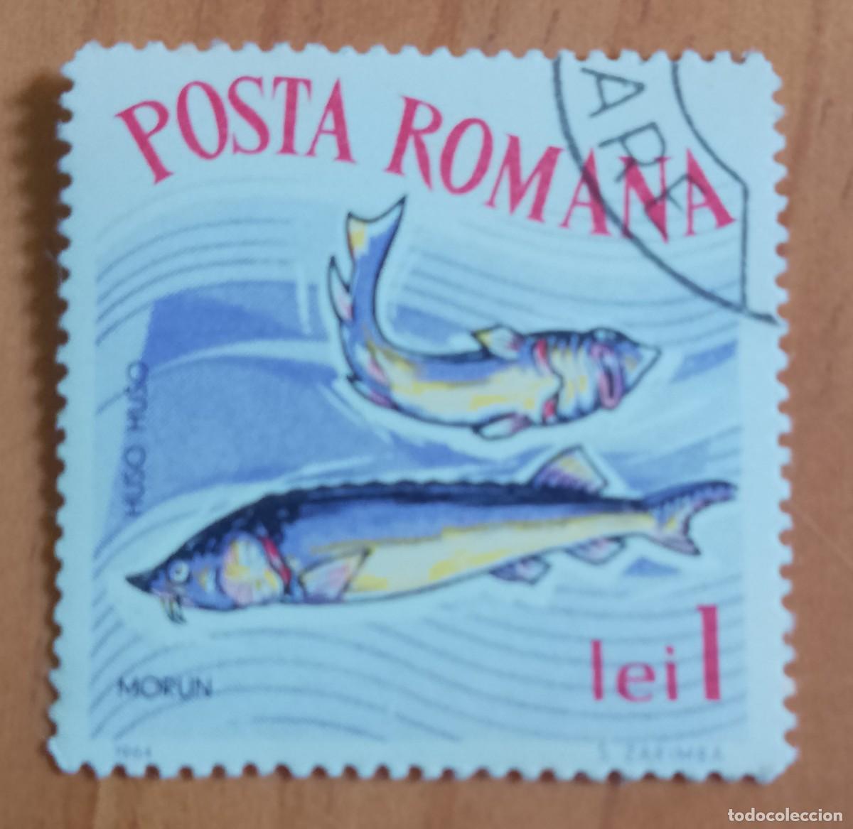 Sellos: RUMANIA - 1 LEI - A&Ntilde;O 1964 - FAUNA MARINA, MORUN, PEZ ESTURI&Oacute;N - VER DESCRIPCI&Oacute;N.