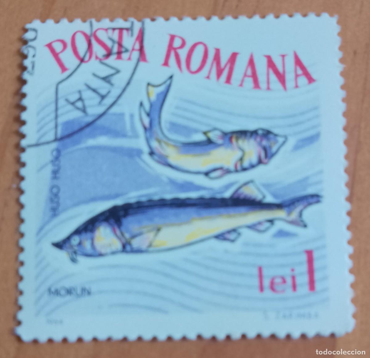 Sellos: RUMANIA - 1 LEI - A&Ntilde;O 1964 - FAUNA MARINA, MORUN, PEZ ESTURI&Oacute;N - VER DESCRIPCI&Oacute;N.