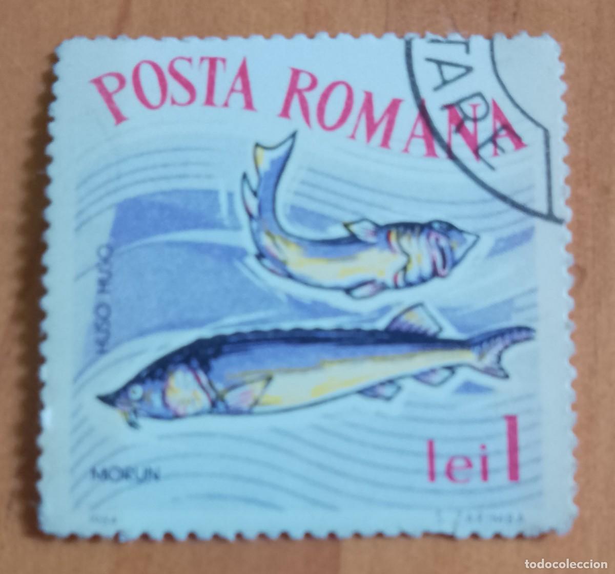 Sellos: RUMANIA - 1 LEI - A&Ntilde;O 1964 - FAUNA MARINA, MORUN, PEZ ESTURI&Oacute;N - VER DESCRIPCI&Oacute;N.