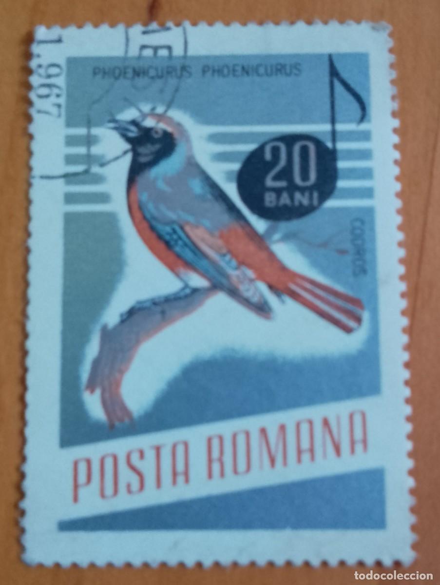 Sellos: RUMANIA - 20 BANI - A&Ntilde;O 1966 - PHOENICURUS &Oacute; COLIRROJO - VER DESCRIPCI&Oacute;N.