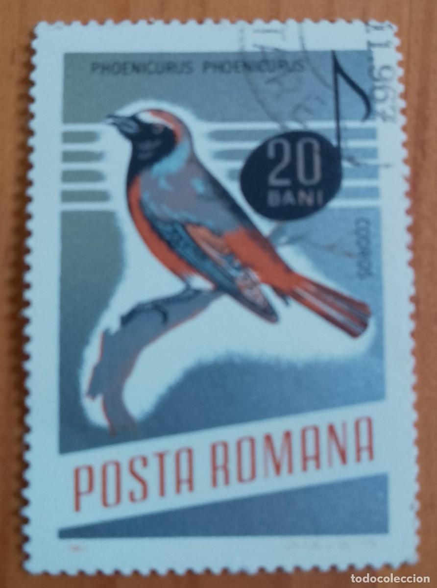 Sellos: RUMANIA - 20 BANI - A&Ntilde;O 1966 - PHOENICURUS &Oacute; COLIRROJO - VER DESCRIPCI&Oacute;N.