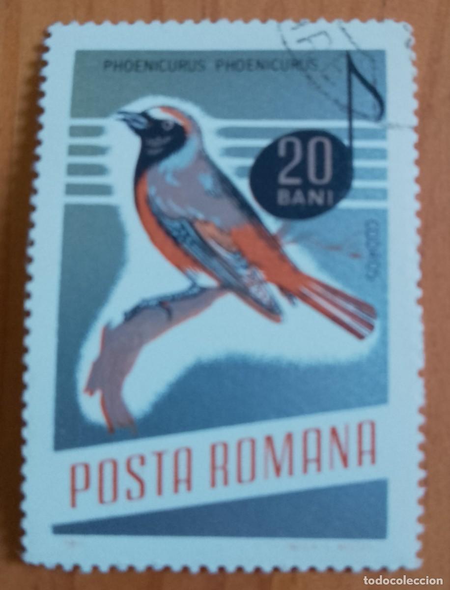 Sellos: RUMANIA - 20 BANI - A&Ntilde;O 1966 - PHOENICURUS &Oacute; COLIRROJO - VER DESCRIPCI&Oacute;N.