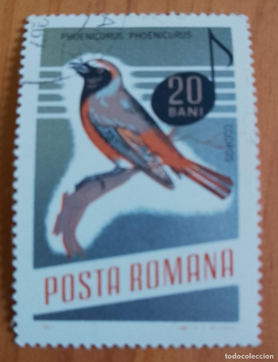 Sellos: RUMANIA - 20 BANI - A&Ntilde;O 1966 - PHOENICURUS &Oacute; COLIRROJO - VER DESCRIPCI&Oacute;N.