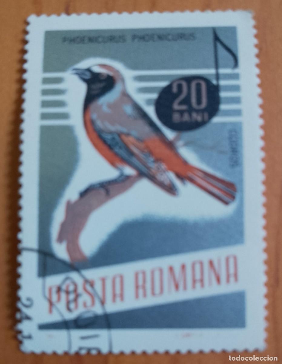 Sellos: RUMANIA - 20 BANI - A&Ntilde;O 1966 - PHOENICURUS &Oacute; COLIRROJO - VER DESCRIPCI&Oacute;N.