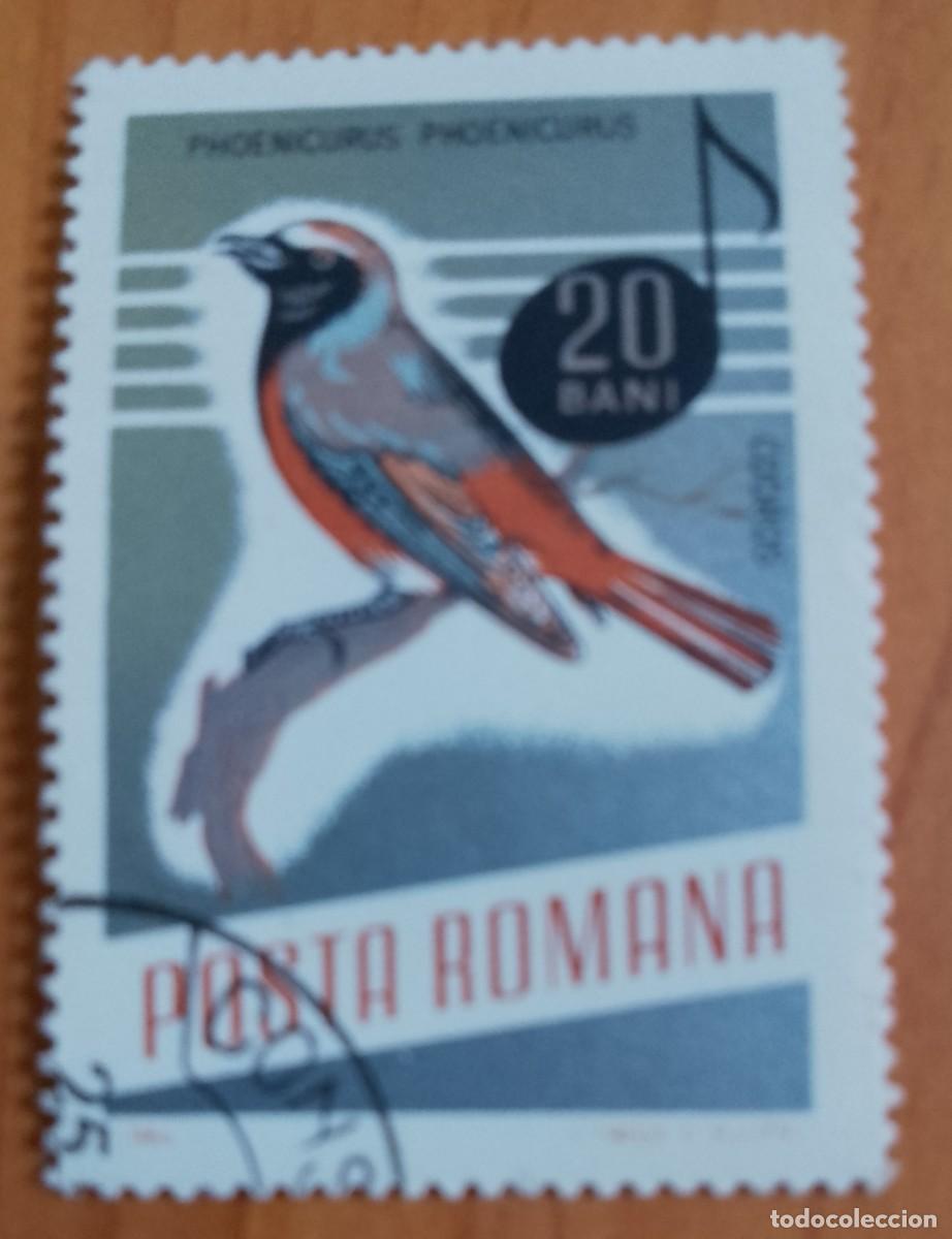 Sellos: RUMANIA - 20 BANI - A&Ntilde;O 1966 - PHOENICURUS &Oacute; COLIRROJO - VER DESCRIPCI&Oacute;N.