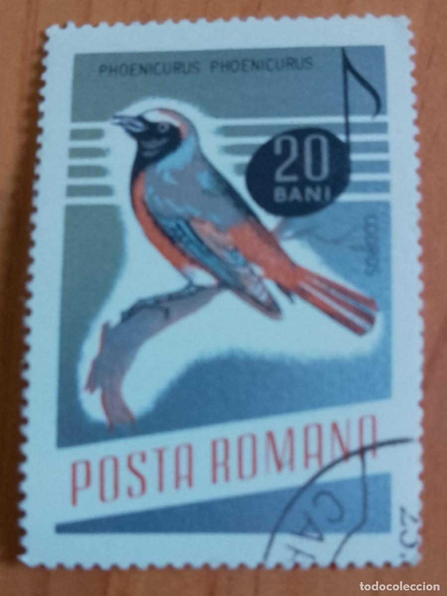 Sellos: RUMANIA - 20 BANI - A&Ntilde;O 1966 - PHOENICURUS &Oacute; COLIRROJO - VER DESCRIPCI&Oacute;N.