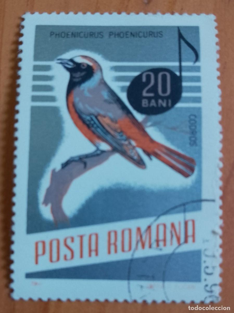 Sellos: RUMANIA - 20 BANI - A&Ntilde;O 1966 - PHOENICURUS &Oacute; COLIRROJO - VER DESCRIPCI&Oacute;N.
