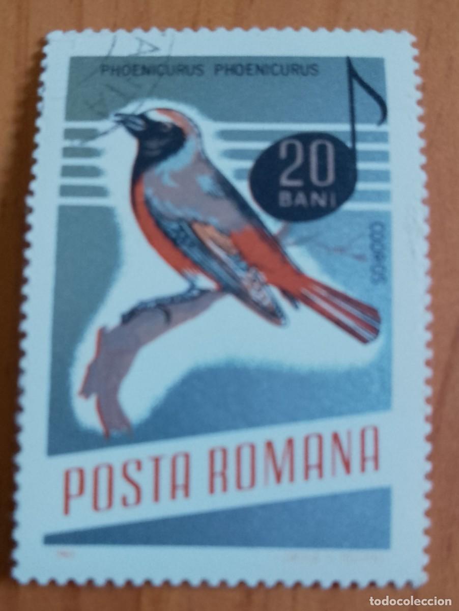 Sellos: RUMANIA - 20 BANI - A&Ntilde;O 1966 - PHOENICURUS &Oacute; COLIRROJO - VER DESCRIPCI&Oacute;N.