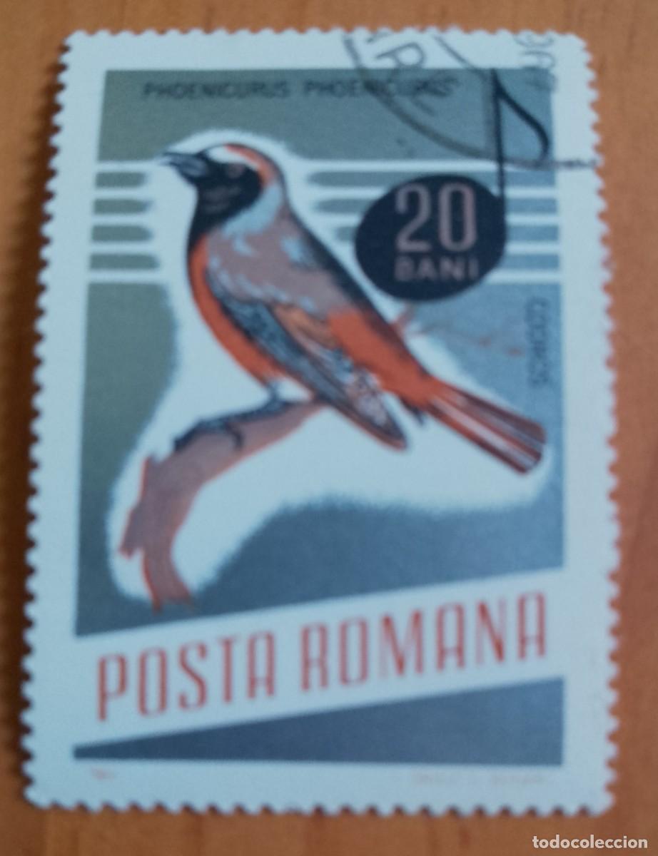 Sellos: RUMANIA - 20 BANI - A&Ntilde;O 1966 - PHOENICURUS &Oacute; COLIRROJO - VER DESCRIPCI&Oacute;N.