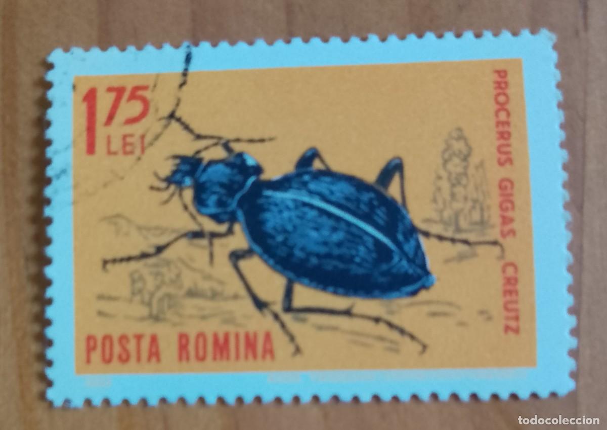 Sellos: RUMANIA - 1,75 LEI - FAUNA, INSECTO, ESCARABAJO, PROCERUS GIGAS CREUTZ - VER DESCRIPCI&Oacute;N.