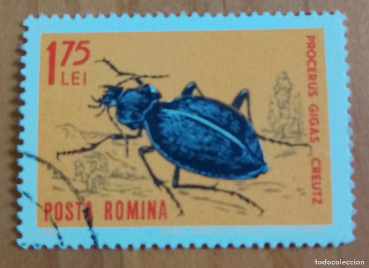 Sellos: RUMANIA - 1,75 LEI - FAUNA, INSECTO, ESCARABAJO, PROCERUS GIGAS CREUTZ - VER DESCRIPCI&Oacute;N.