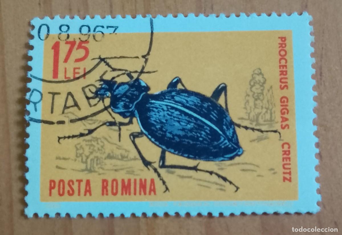 Sellos: RUMANIA - 1,75 LEI - FAUNA, INSECTO, ESCARABAJO, PROCERUS GIGAS CREUTZ - VER DESCRIPCI&Oacute;N.