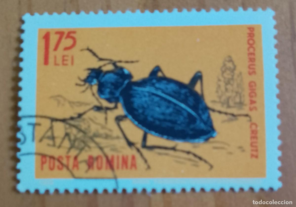 Sellos: RUMANIA - 1,75 LEI - FAUNA, INSECTO, ESCARABAJO, PROCERUS GIGAS CREUTZ - VER DESCRIPCI&Oacute;N.