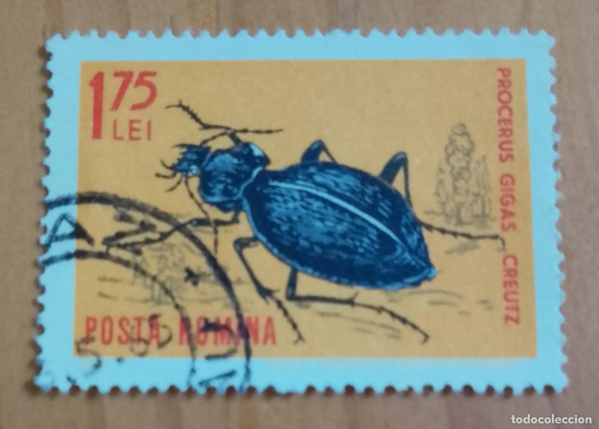 Sellos: RUMANIA - 1,75 LEI - FAUNA, INSECTO, ESCARABAJO, PROCERUS GIGAS CREUTZ - VER DESCRIPCI&Oacute;N.