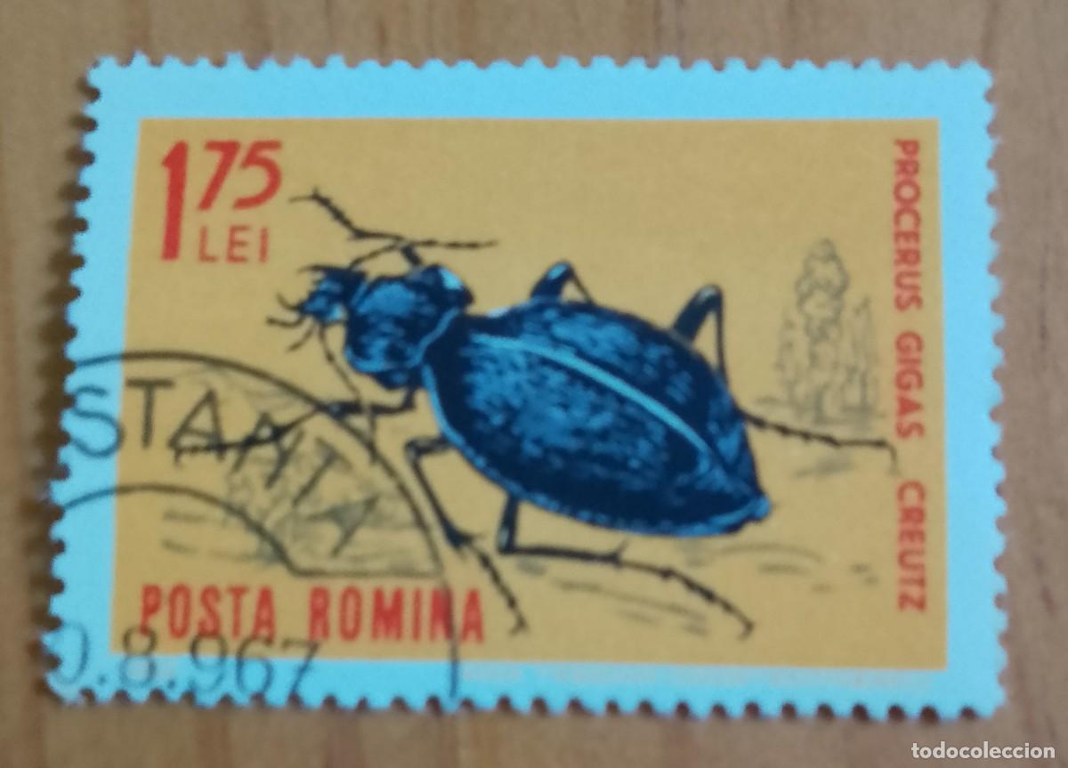 Sellos: RUMANIA - 1,75 LEI - FAUNA, INSECTO, ESCARABAJO, PROCERUS GIGAS CREUTZ - VER DESCRIPCI&Oacute;N.