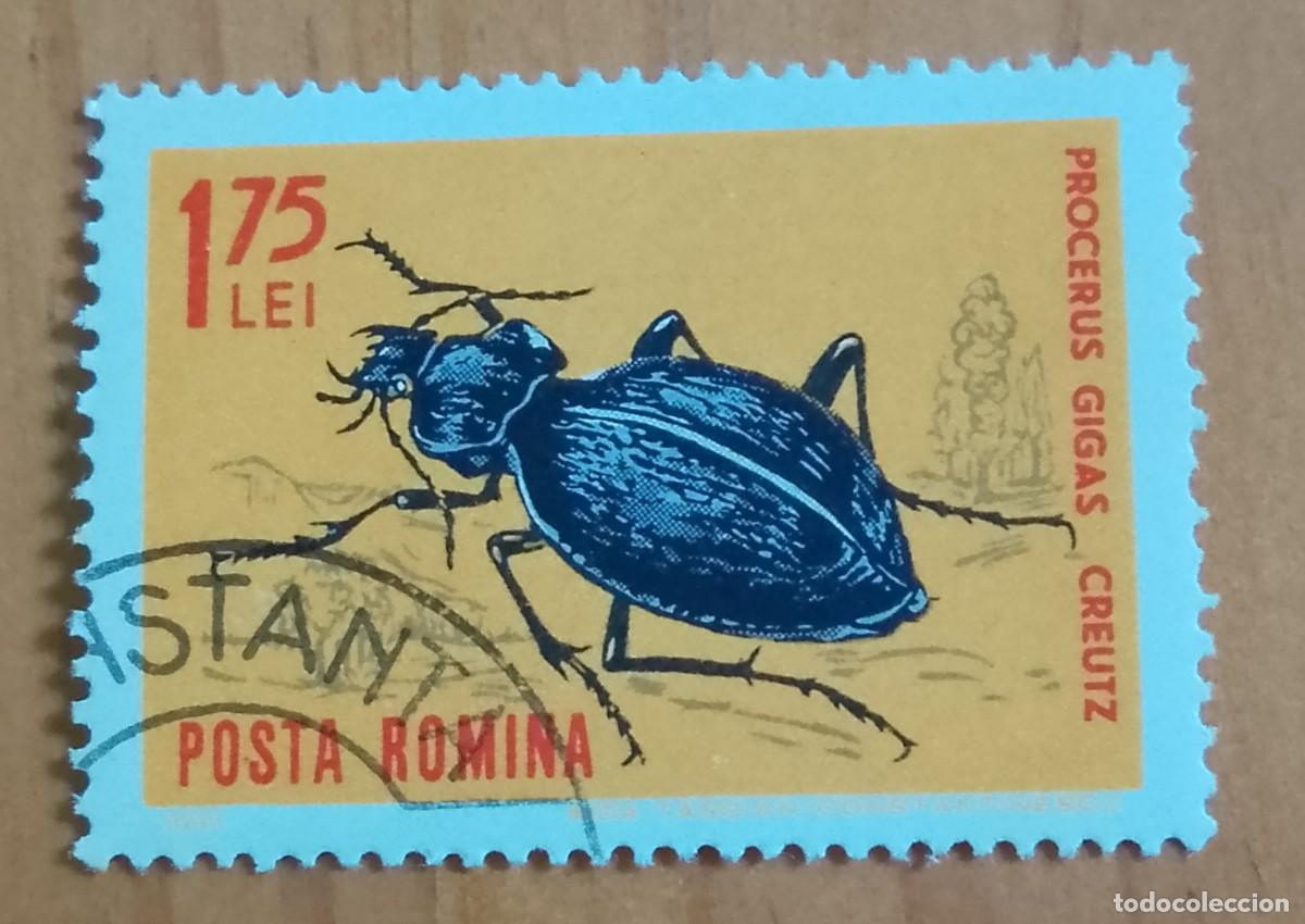 Sellos: RUMANIA - 1,75 LEI - FAUNA, INSECTO, ESCARABAJO, PROCERUS GIGAS CREUTZ - VER DESCRIPCI&Oacute;N.