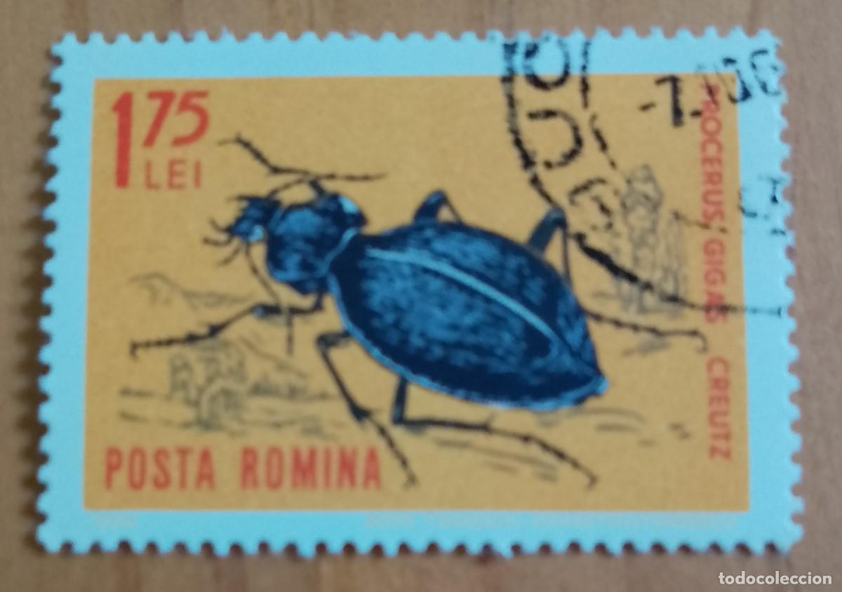 Sellos: RUMANIA - 1,75 LEI - FAUNA, INSECTO, ESCARABAJO, PROCERUS GIGAS CREUTZ - VER DESCRIPCI&Oacute;N.