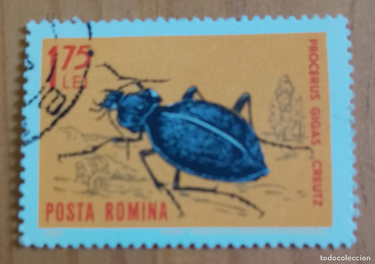 Sellos: RUMANIA - 1,75 LEI - FAUNA, INSECTO, ESCARABAJO, PROCERUS GIGAS CREUTZ - VER DESCRIPCI&Oacute;N.