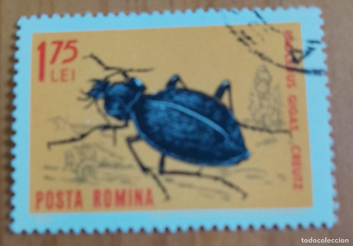 Sellos: RUMANIA - 1,75 LEI - FAUNA, INSECTO, ESCARABAJO, PROCERUS GIGAS CREUTZ - VER DESCRIPCI&Oacute;N.
