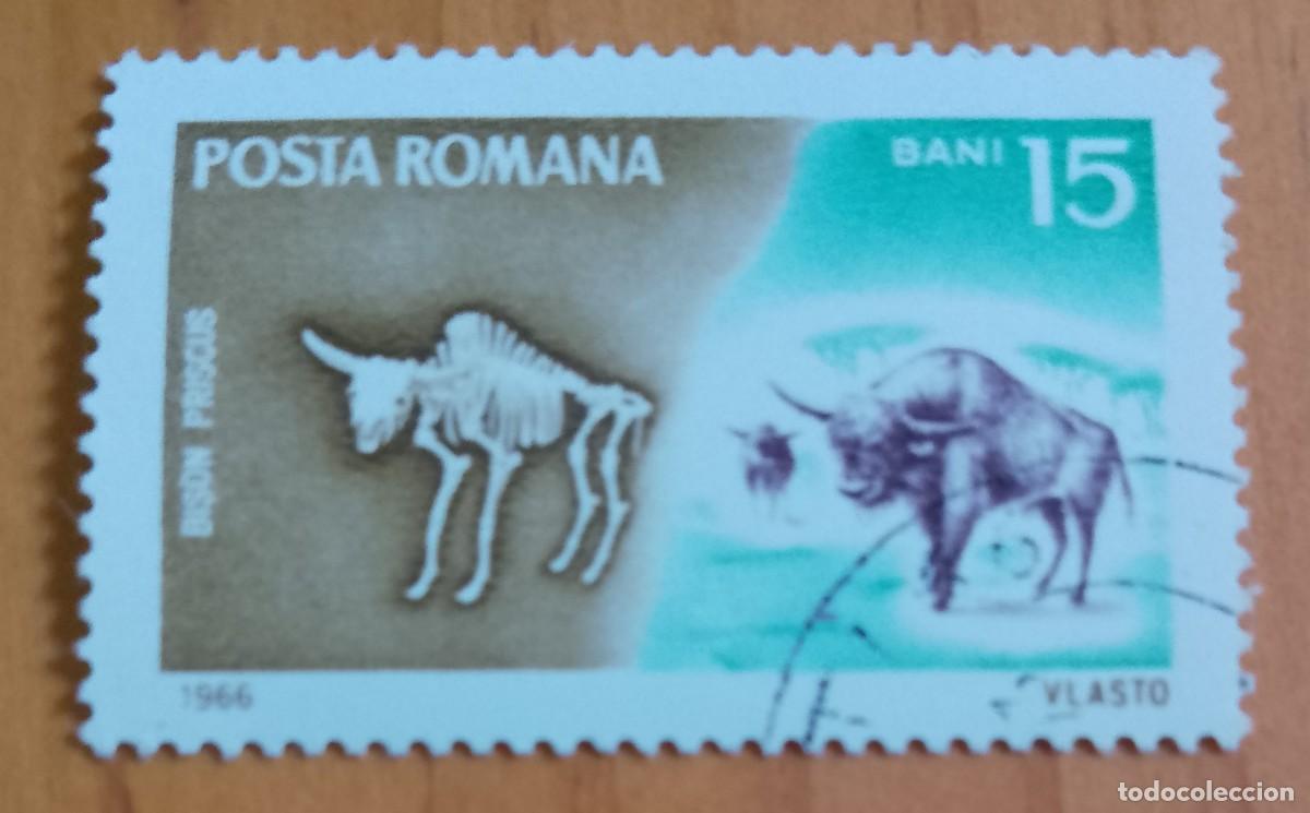 Sellos: RUMANIA - 15 BANI - A&Ntilde;O 1966 - FAUNA, BISON PRISCUS, BISONTE ESTEPARIO - VER DESCRIPCI&Oacute;N.