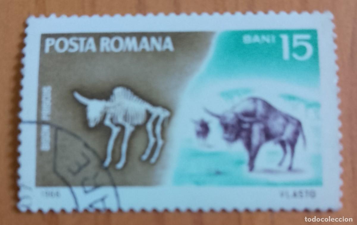 Sellos: RUMANIA - 15 BANI - A&Ntilde;O 1966 - FAUNA, BISON PRISCUS, BISONTE ESTEPARIO - VER DESCRIPCI&Oacute;N.