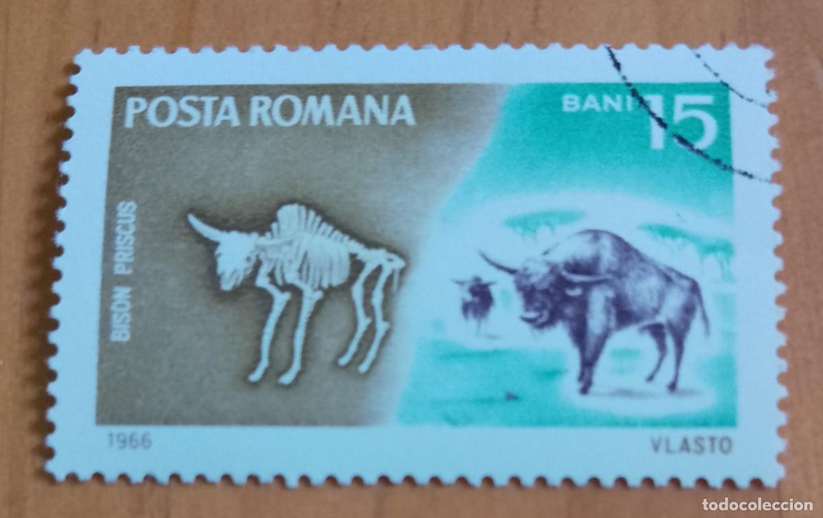 Sellos: RUMANIA - 15 BANI - A&Ntilde;O 1966 - FAUNA, BISON PRISCUS, BISONTE ESTEPARIO - VER DESCRIPCI&Oacute;N.