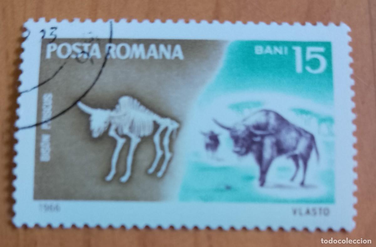 Sellos: RUMANIA - 15 BANI - A&Ntilde;O 1966 - FAUNA, BISON PRISCUS, BISONTE ESTEPARIO - VER DESCRIPCI&Oacute;N.