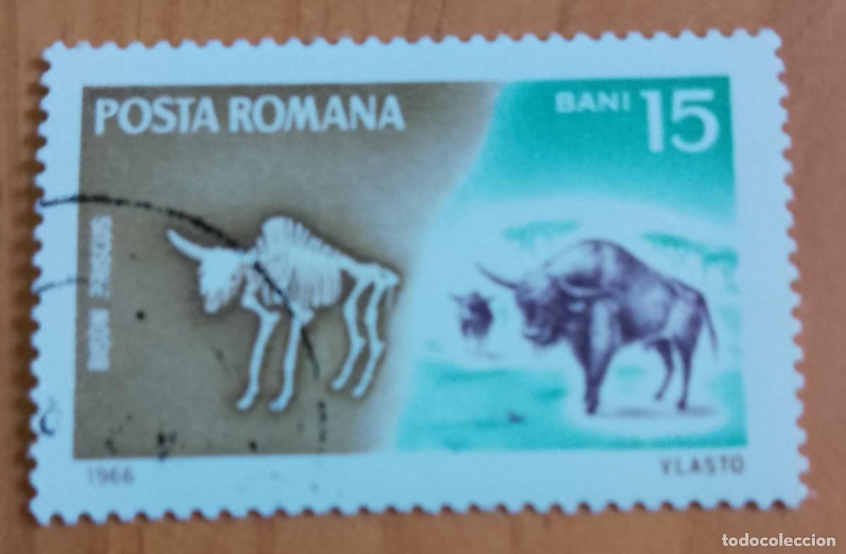 Sellos: RUMANIA - 15 BANI - A&Ntilde;O 1966 - FAUNA, BISON PRISCUS, BISONTE ESTEPARIO - VER DESCRIPCI&Oacute;N.
