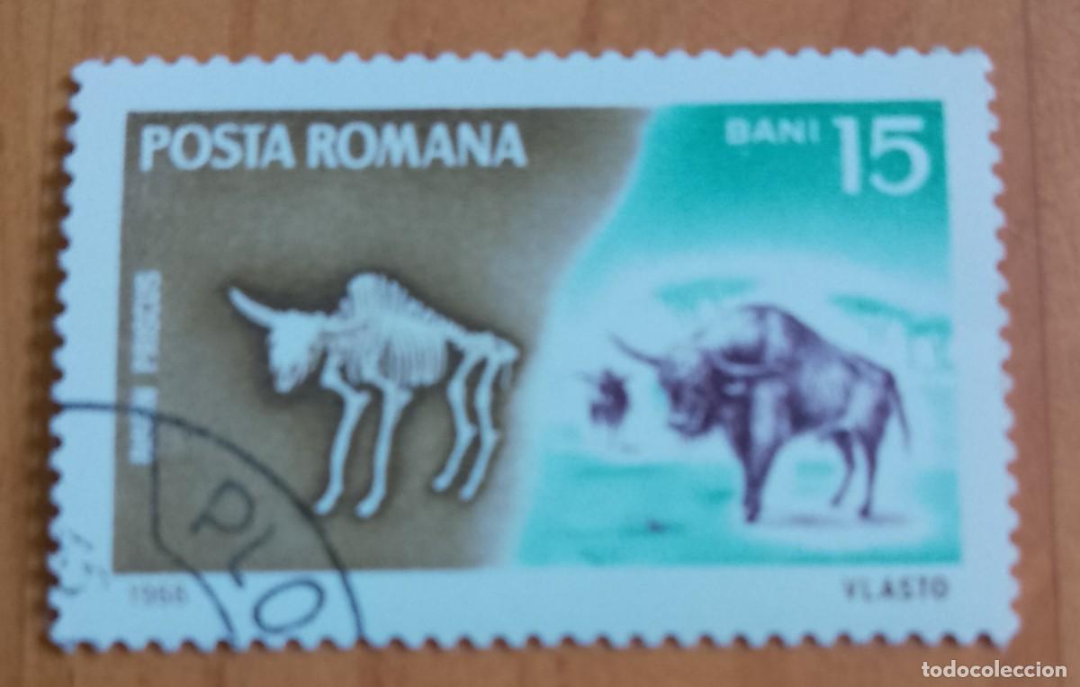 Sellos: RUMANIA - 15 BANI - A&Ntilde;O 1966 - FAUNA, BISON PRISCUS, BISONTE ESTEPARIO - VER DESCRIPCI&Oacute;N.