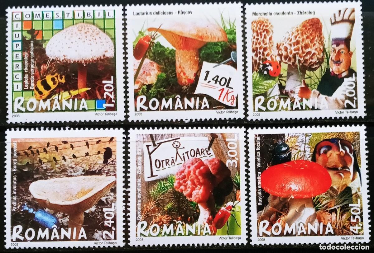 Sellos: Rumania 2008 Ivert 5271/6 *** Flora - Setas - Champi&ntilde;ones