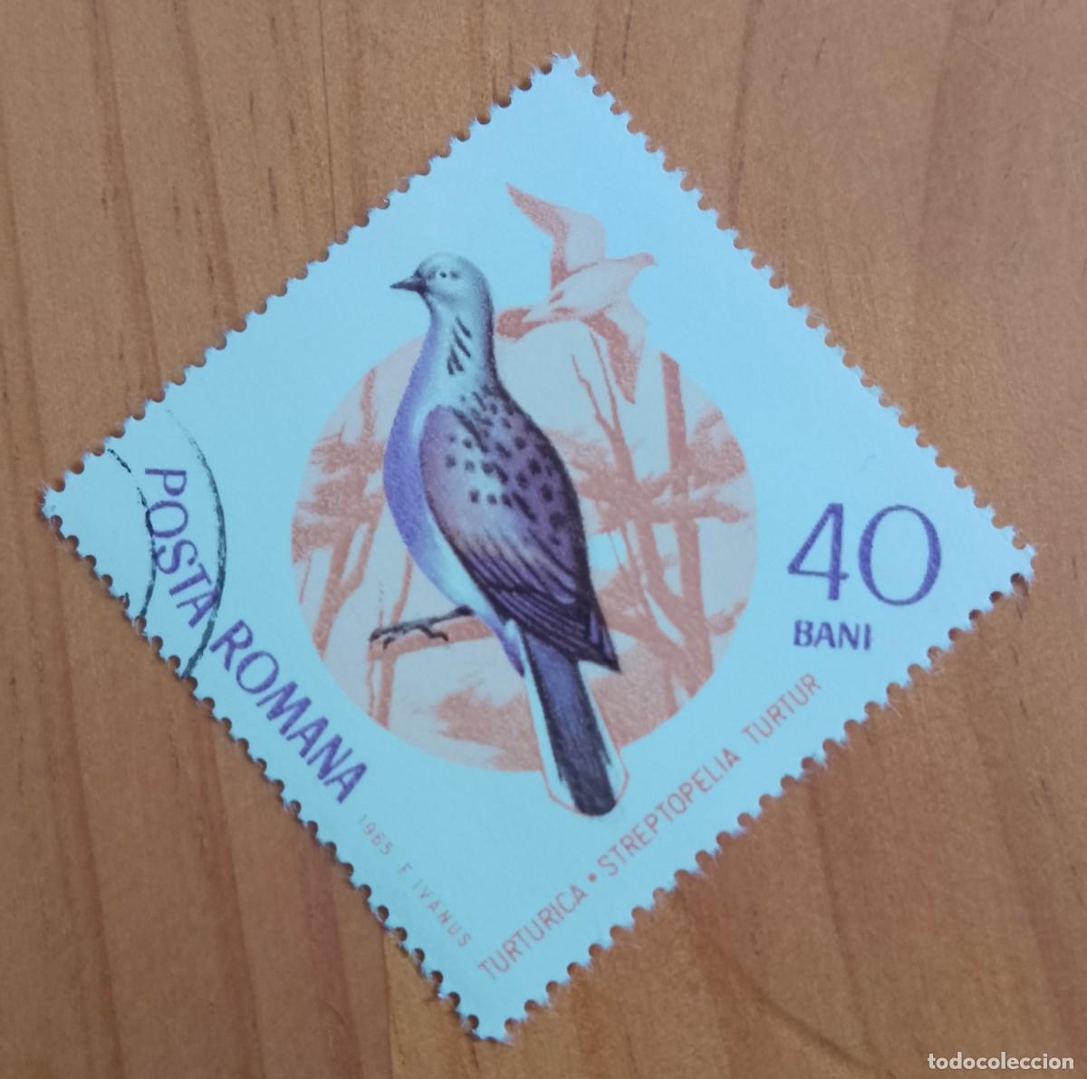 Sellos: RUMANIA - V/F 40 BANI - FLORA, AVE, TURTURICA - VER DESCRIPCI&Oacute;N