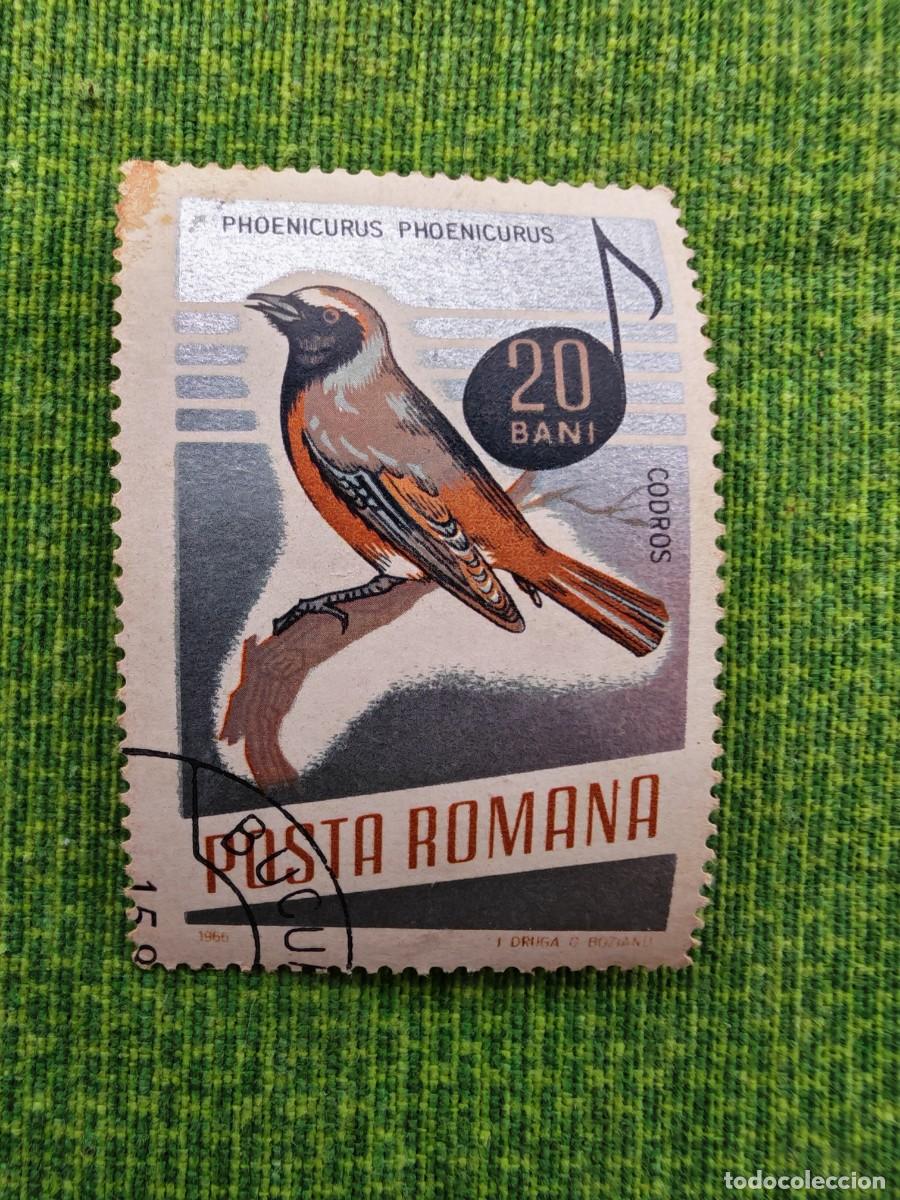 Selos: Sello rumano emitido en 1966 como parte de una serie sobre aves canoras.