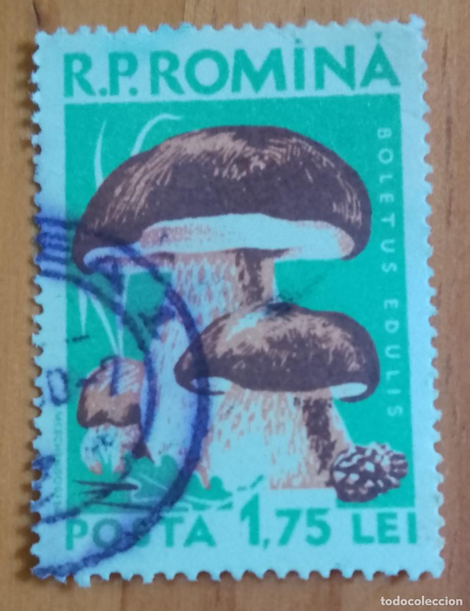 Selos: RUMANIA - 1,75 LEI - SETA, HONGO, BOLETUS EDULIS - VER DESCRIPCI&Oacute;N