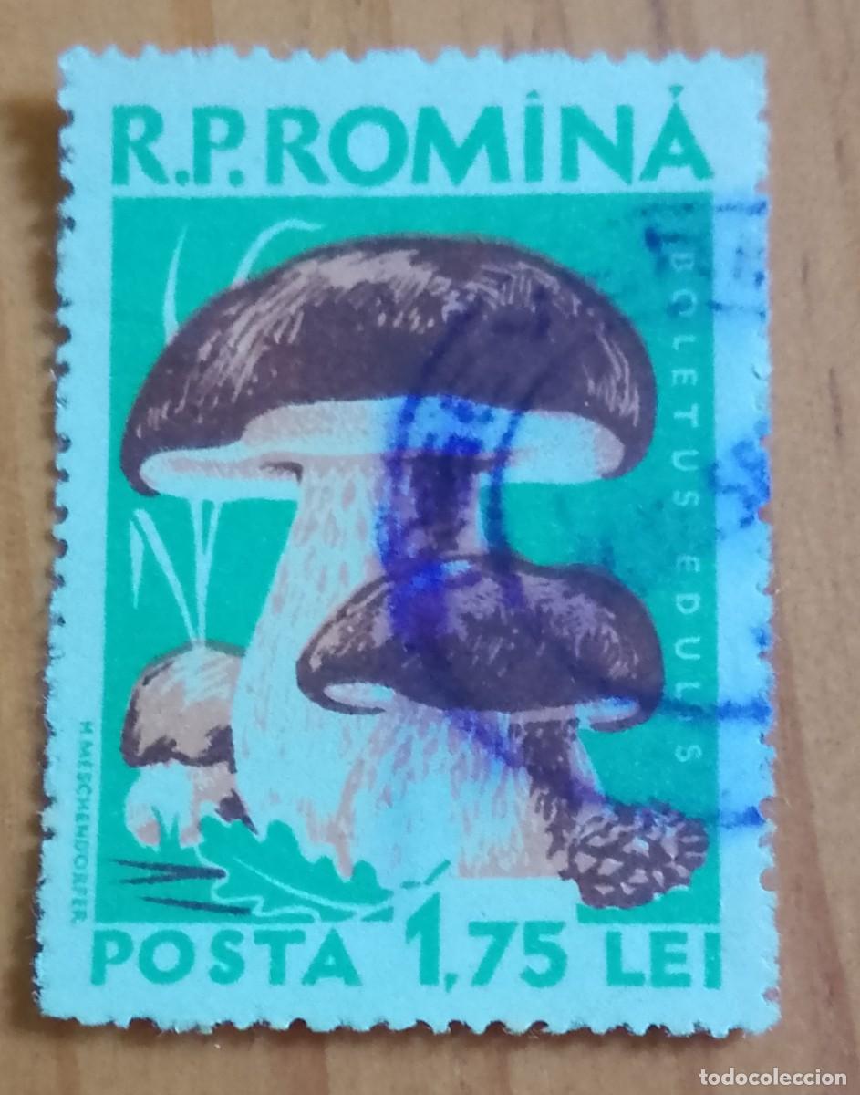 Selos: RUMANIA - 1,75 LEI - SETA, HONGO, BOLETUS EDULIS - VER DESCRIPCI&Oacute;N