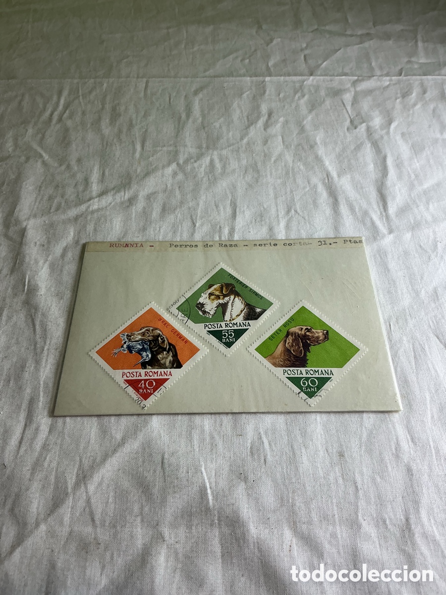 Briefmarken: Ruman&iacute;a, lote de 3 sellos de perros de raza.