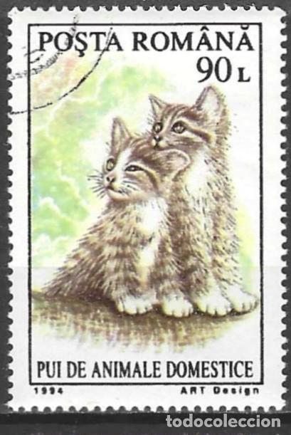 Sellos: Ruman&iacute;a 1994 - Mi 5055 - YT 4217 - Gatitos