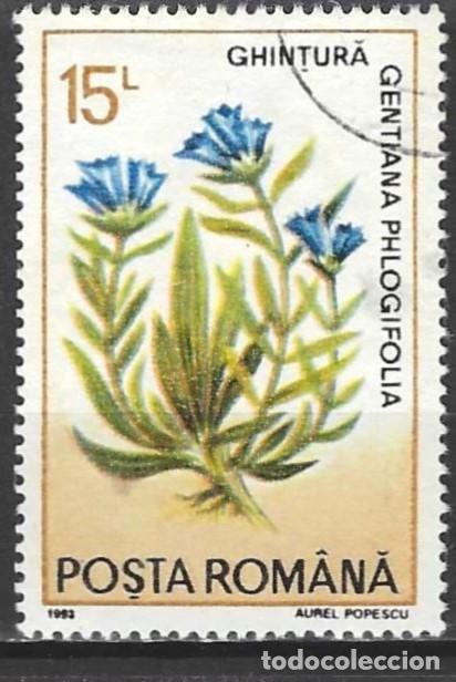 Sellos: Ruman&iacute;a 1993 - Mi 4867 - YT 4058 - Planta medicinal : genciana