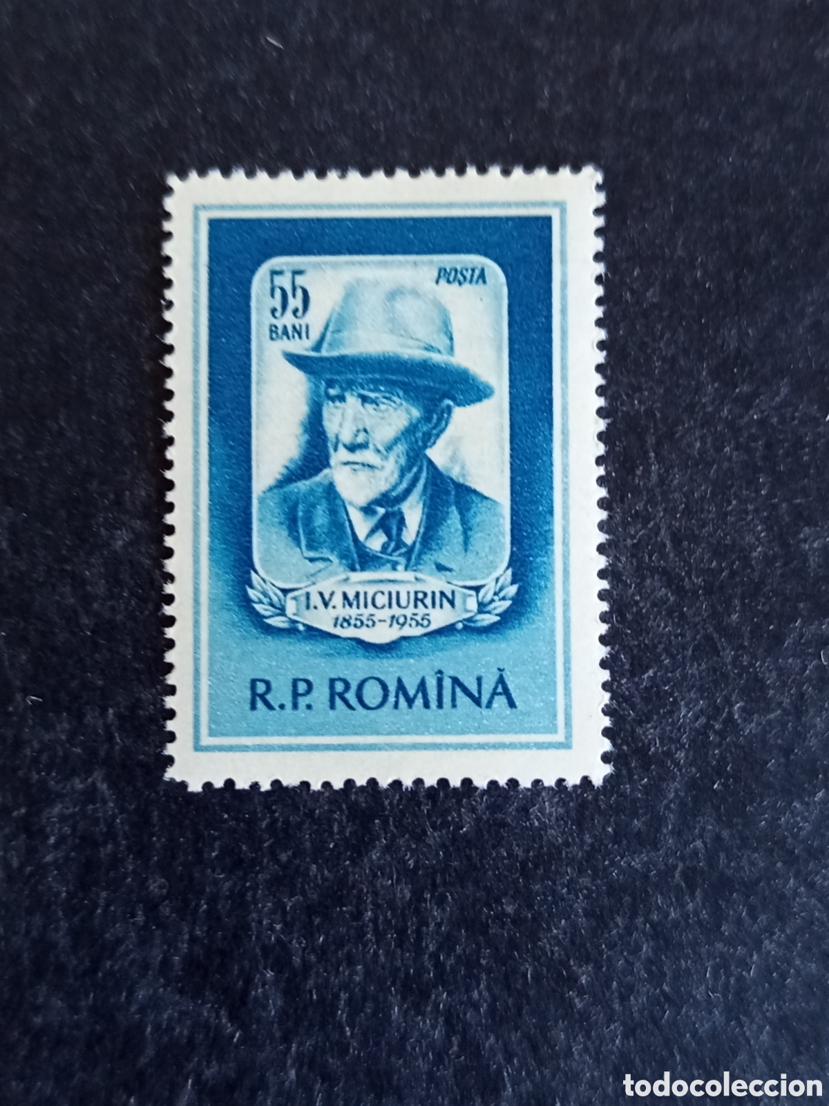 Sellos: Ruman&iacute;a,1955. I. V. Michurin, agr&oacute;nomo. Yv 1423. Serie completa. Pedido m&iacute;nimo 3 &euro;. Ver fotos.