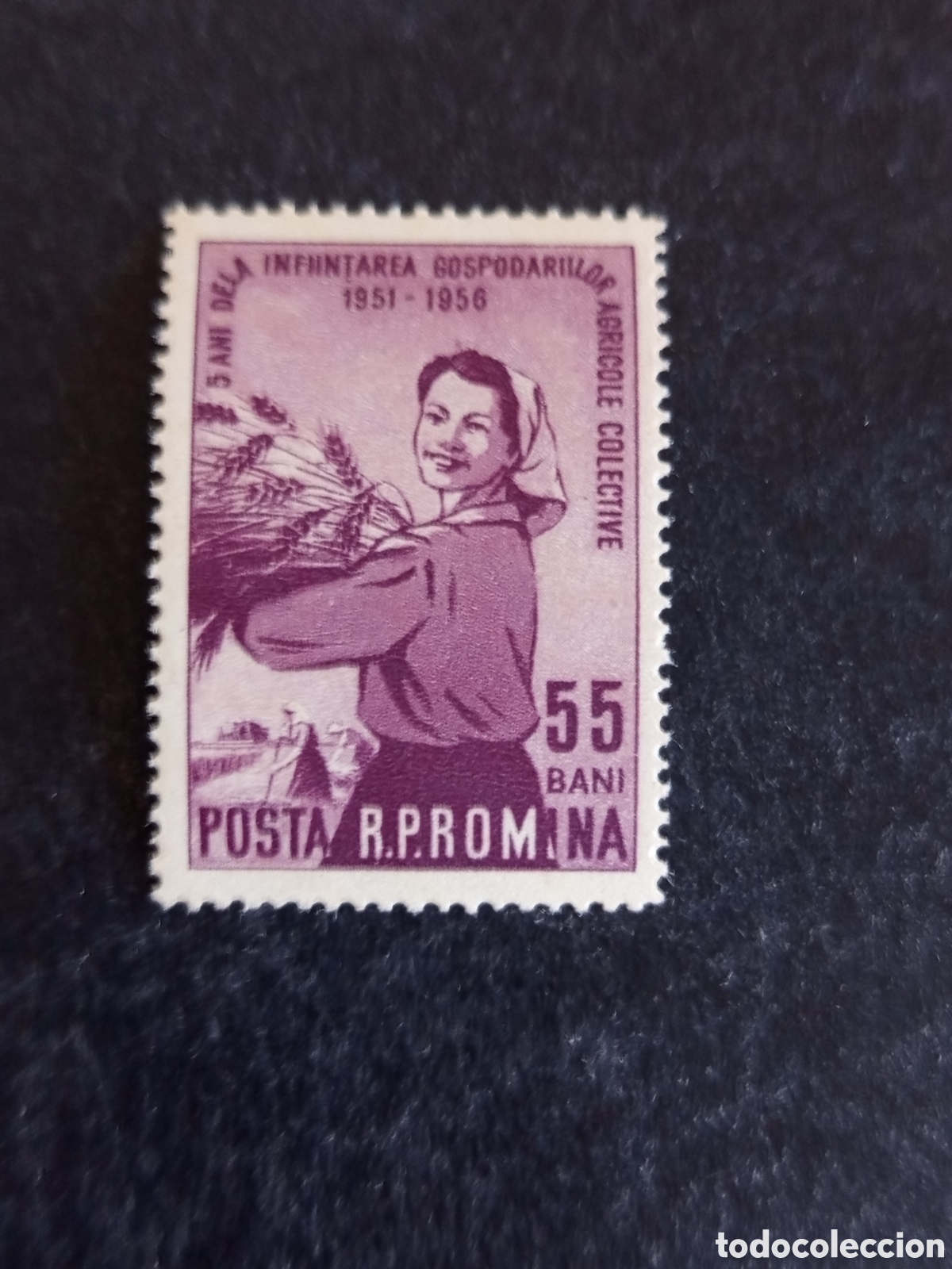 Sellos: Ruman&iacute;a, 1956. Agricultura. Cosechas. Yv 1460. Serie completa. Pedido m&iacute;nimo 3 &euro;. Ver fotos.